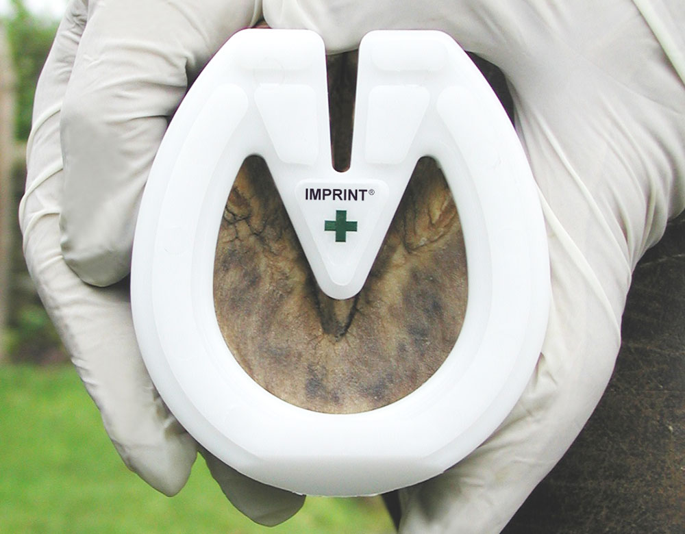 Imprint First Shoe