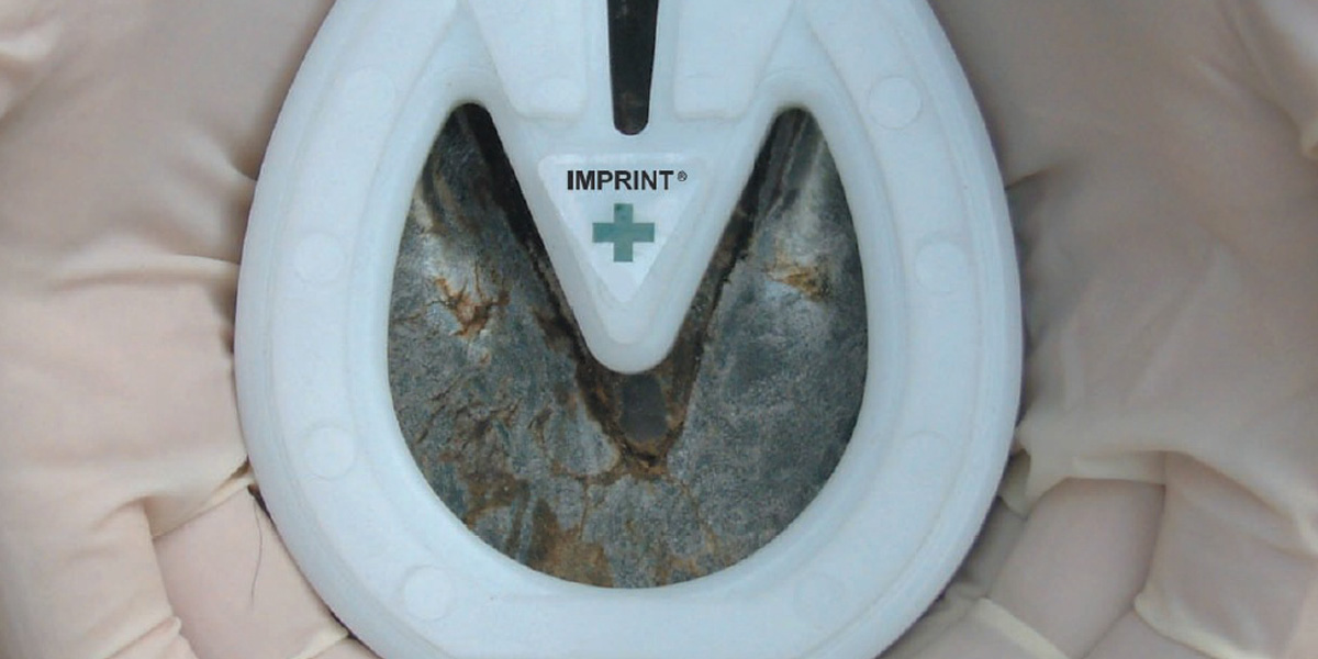Imprint Foal Shoe Fitted