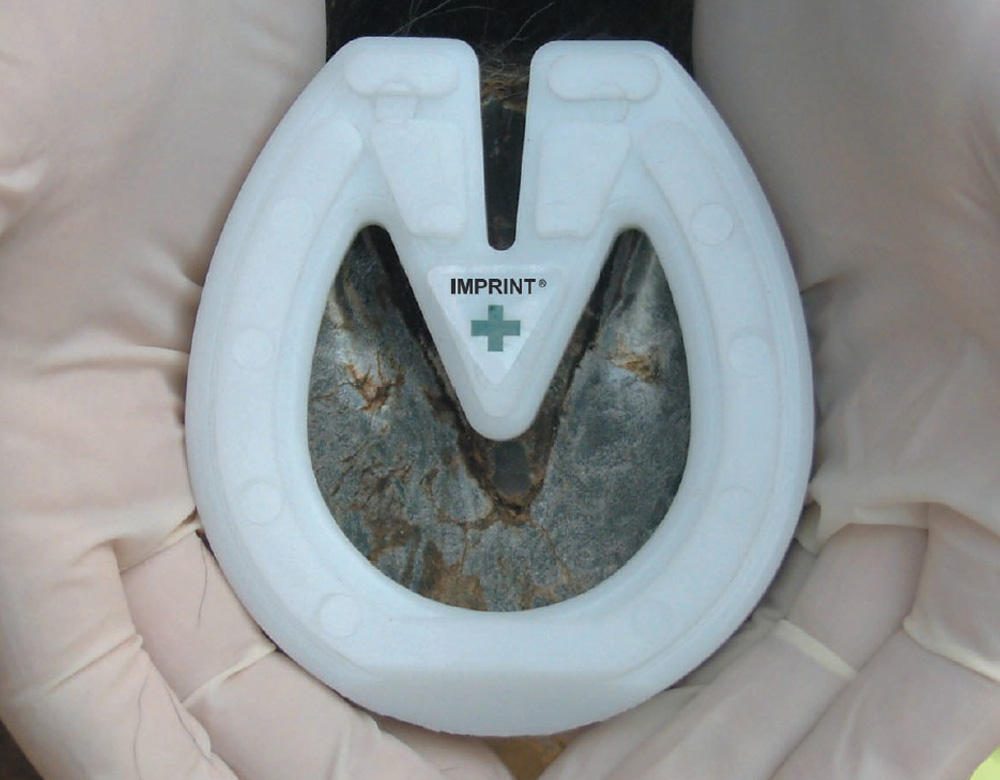 Imprint Foal Shoe Imprint Foal Shoe