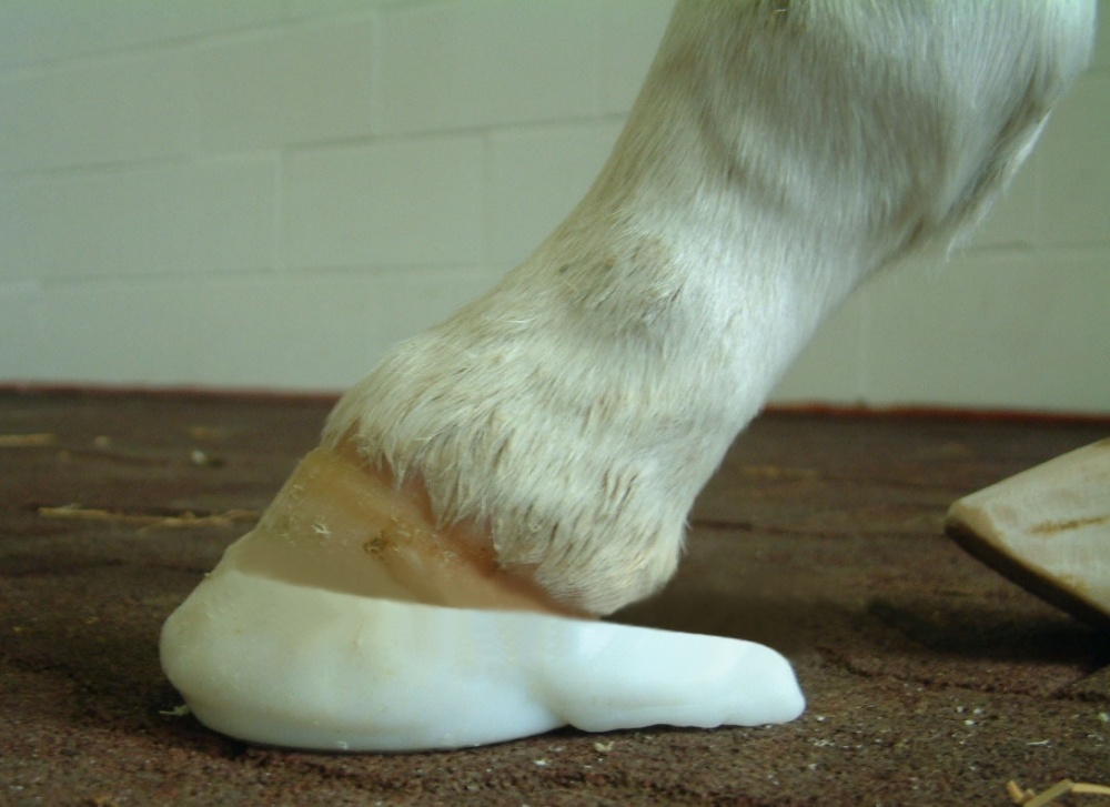 Fitted Imprint Foal shoe with prefabricated caudal extension Fitted foal shoe with prefabricated caudal extension