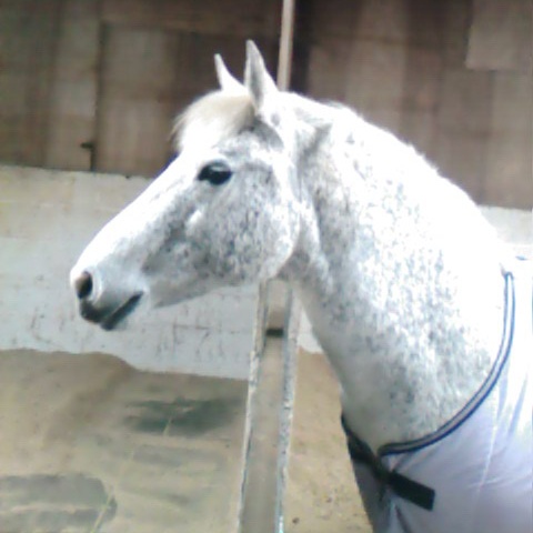 Cloud